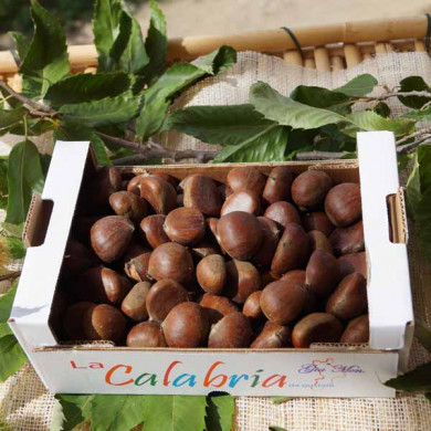 Castagne Bollite