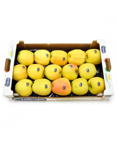 Mele Golden Delicius Melinda Cal.80/85 D.O.P.