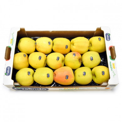 Mele Golden Delicius Melinda Cal.80/85 D.O.P.