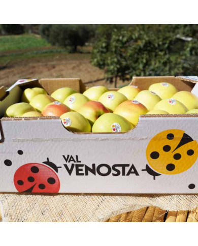 La mela Alto Adige IGP