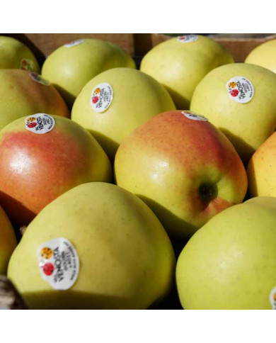 Golden Delicious IGP