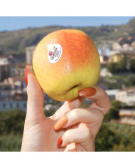 Mele Golden Delicius Val Venosta Cal75/80 I.G.P.