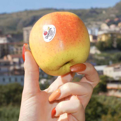 Mele Golden Delicius Val Venosta Cal75/80 I.G.P.