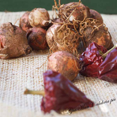 lampascioni vendita online