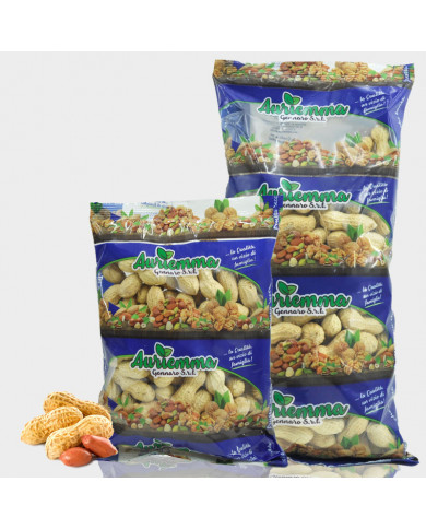 Arachidi tostate in guscio