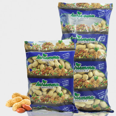 Arachidi tostate in guscio