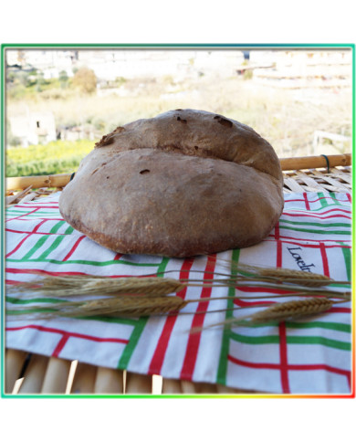 Pane casereccio 1 kg