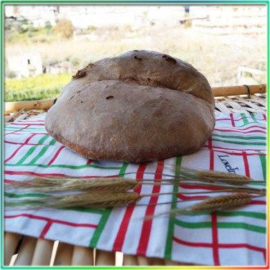 Pane casereccio 1 kg
