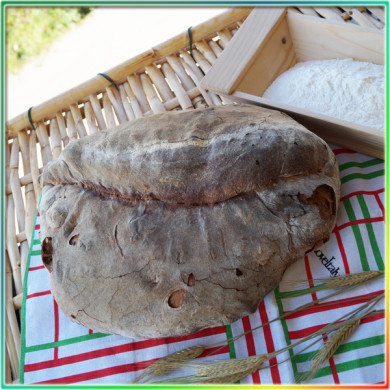 Pane casereccio da 2 Kg