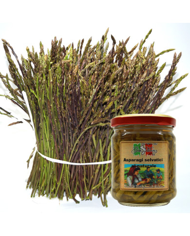 asparago selvatico della Calabria