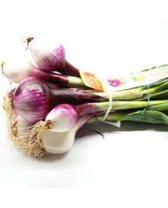 Cipolla rossa di Tropea IGP