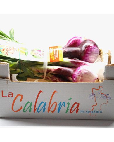 Cipolla rossa di Tropea fresca