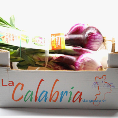 Cipolla rossa di Tropea fresca