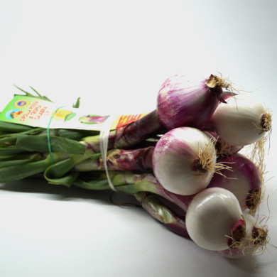 Cipolla rossa di Tropea fresca