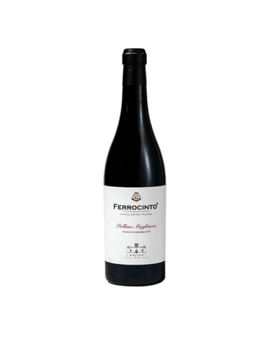 Vino Magliocco   DOP Terre di Cosenza 75cl