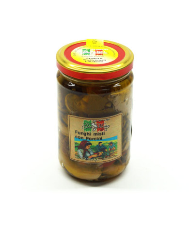 Funghi misti con Porcini sott'olio