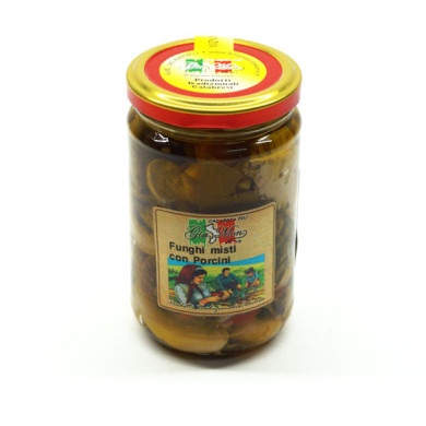Funghi misti con Porcini sott'olio