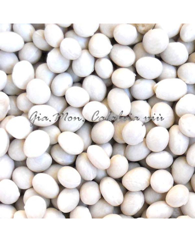 Fagioli Poverelli di Mormanno - Aspetto e Qualità