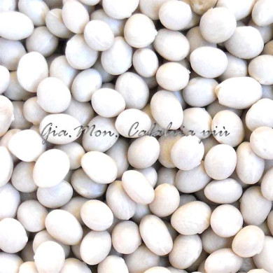 Fagioli Poverelli di Mormanno - Aspetto e Qualità