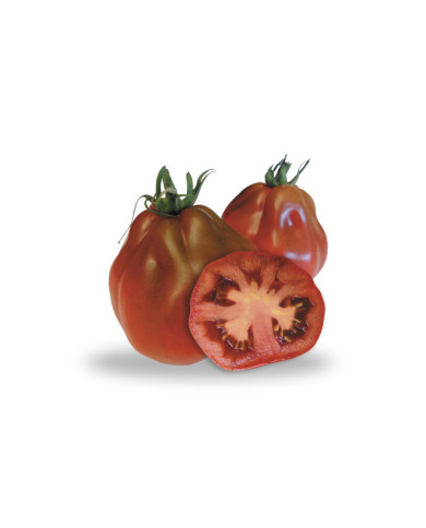 Pomodori Cuori di Bue Neri