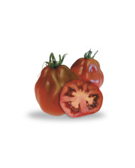 Pomodori Cuori di Bue Neri