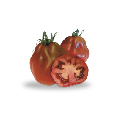 Pomodori Cuori di Bue Neri