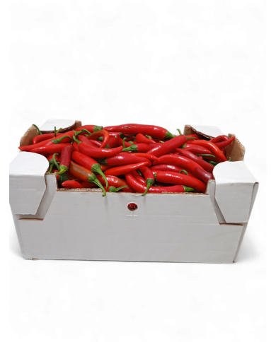 Peperoncino fresco varietà Amando