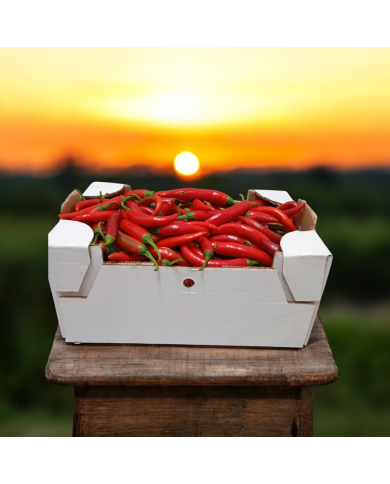 Peperoncino Fresco Amando