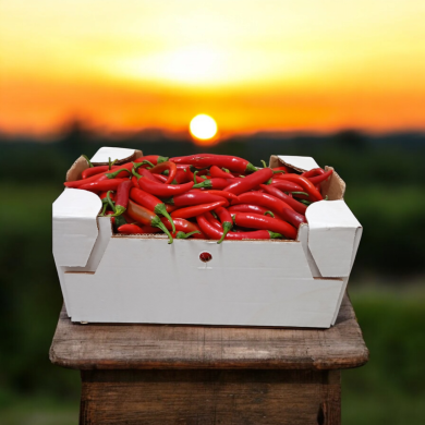 Peperoncino Fresco Amando