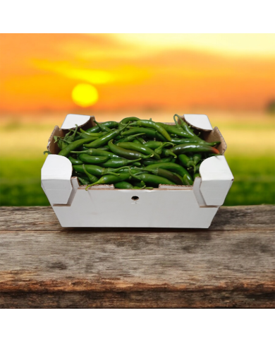 Peperoncino Piccante Verde