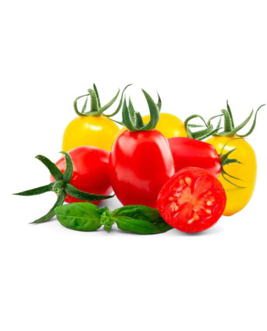 DATTERINO ROSSO E GIALLO