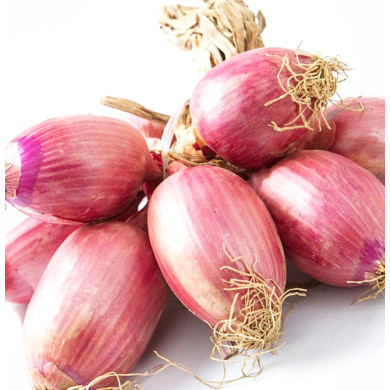 Cipolla Ramata a Treccia – Origine Italia