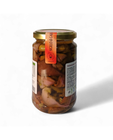 Cassanese in olio extravergine d'oliva