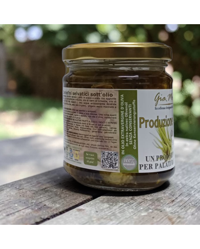 Carciofini selvatici