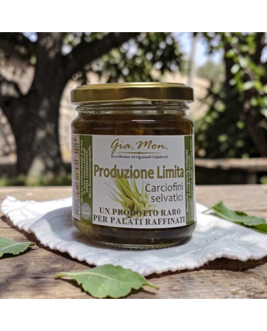 Carciofini Selvatici calabresi