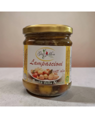 lampascioni sott'olio ml212