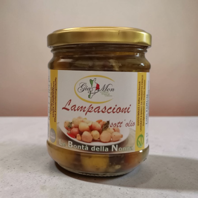 lampascioni sott'olio ml212
