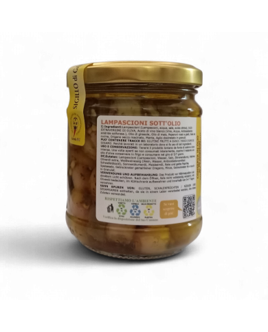 lampascioni dolci sott'olio