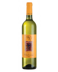 Vino Chardonaay IGT  75cl