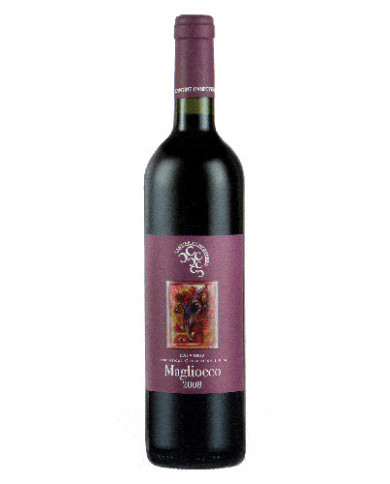 Vino Magliocco Campoverde