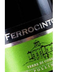 Vino Quattro Lustri- Terre di Cosenza D.O.P.75cl