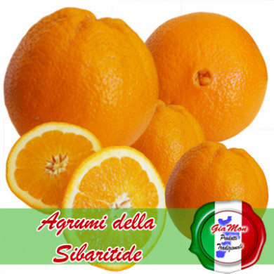 Arancia Washington Navel della Sibaritide