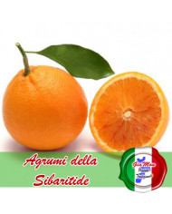 Arancia Washington Navel della Sibaritide