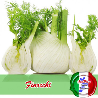 Finocchi