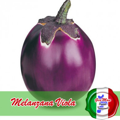 Melanzana Viola