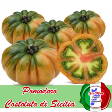 Pomodoro Costoluto
