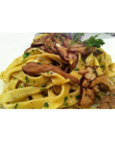 Pappardelle Magnum 500g